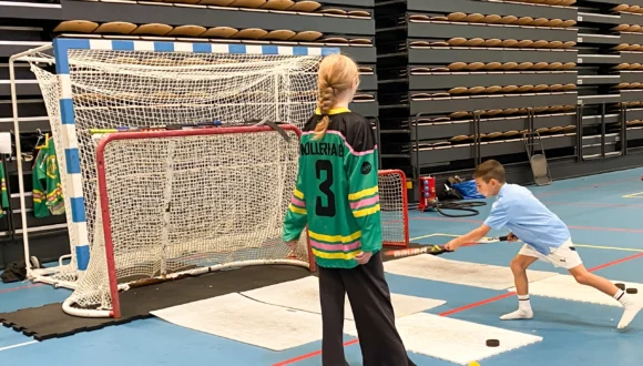 Halden idrettsråd